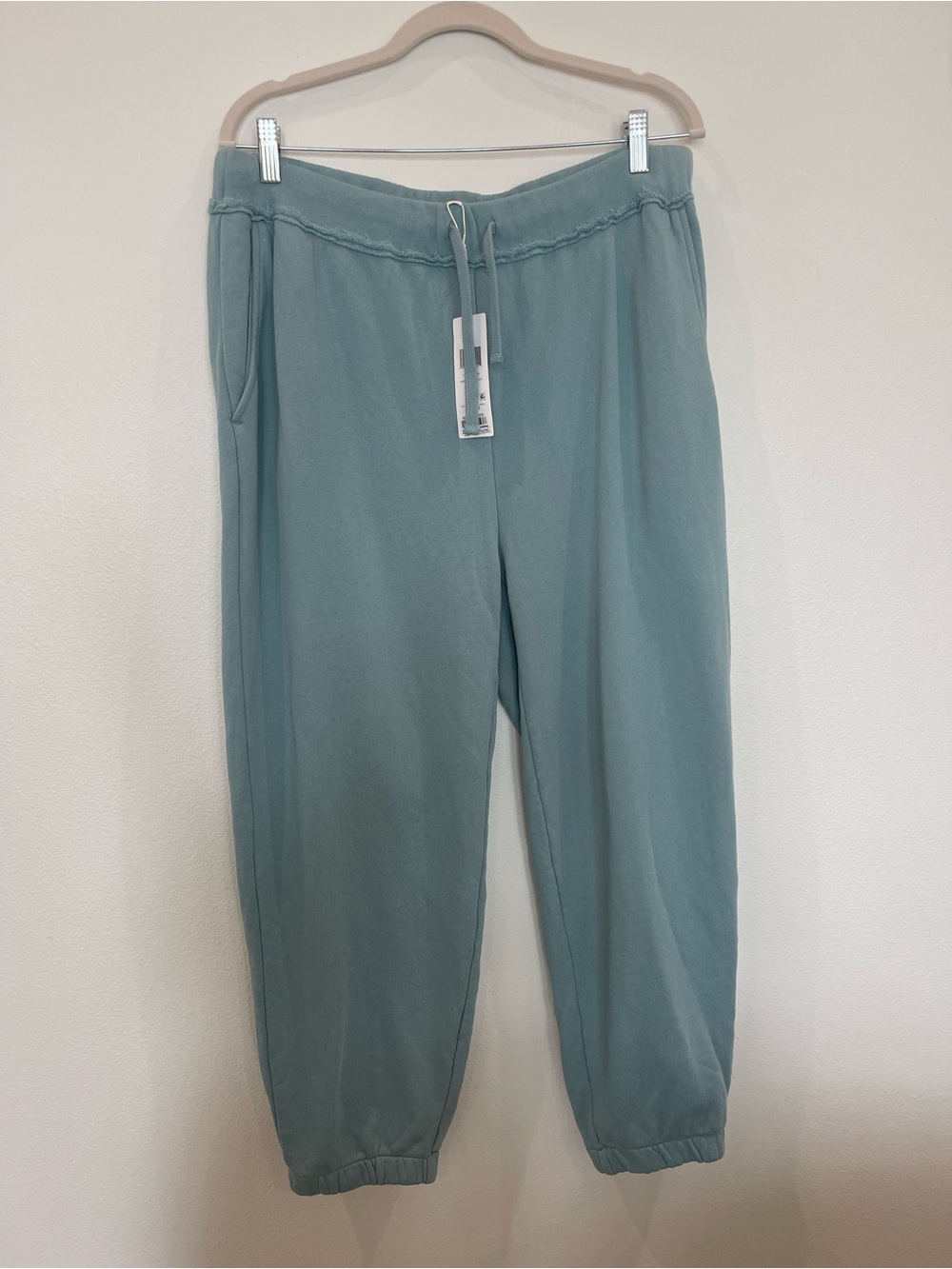 Eileen Fisher Relaxed Drawstring Joggers in Dusty Teal